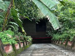 -老君山
