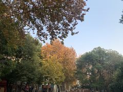 -参差咖啡(水果湖公园店)