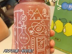 -野萃山·潮汕厚果汁(十亩地店)