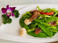 -云中小雅
