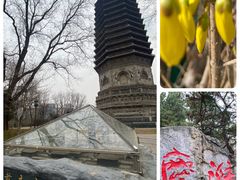 -玲珑塔公园