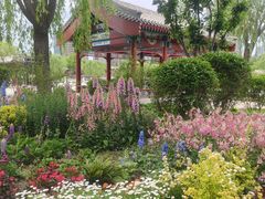 -西海子公园