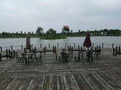 -明珠湖天鹅苑·农家菜馆