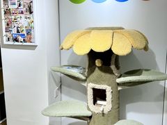 -青奢宠物·青奢猫舍