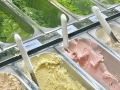 -鹤茶野所(上海首店)