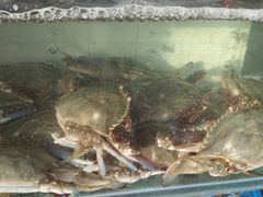 -京深海鲜市场(光彩路店)