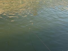 -DGE季风钓虾营地·团建·聚会