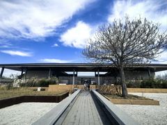-和众大油条(维明路店)