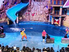 -烟台海昌鲸鲨海洋公园