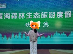 -黄海国家森林公园