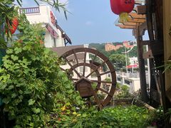 -慢丽江·云南野生菌土鸡锅(付家庄店)