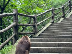 -峨眉山风景名胜区