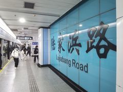 -陆家浜路(地铁站)