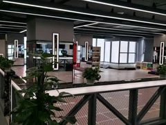 -金吉鸟健身游泳