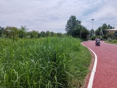-灞河西岸滨河公园