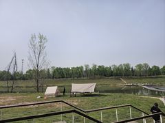 -洨河生态公园