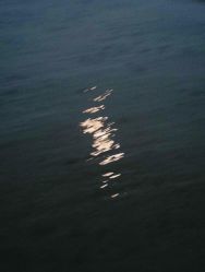 -WAVE SODA摄影工作室