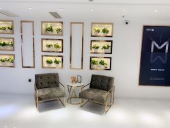 -MIVI野生眉纹绣纹眉