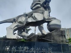 -深圳野生动物园