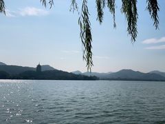 -柳莺湖上·湖景餐厅·江南菜(西湖店)