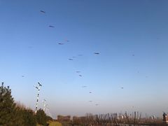 -君乐宝优致牧场