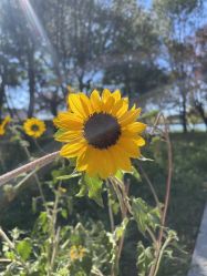 -Oasis Beauty水磨坊科技美肤中心