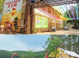 广州周边|猫爪谷人均150玩转网红星空帐篷营