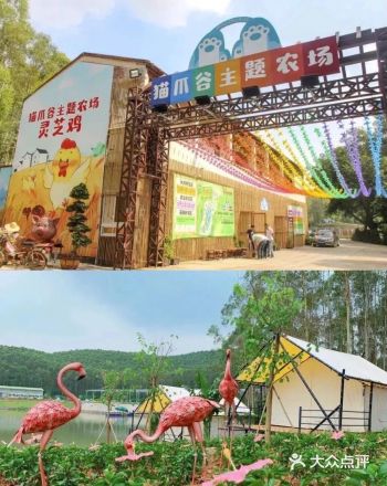 广州周边|猫爪谷人均150玩转网红星空帐篷营