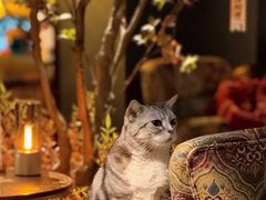 -咖法森林·咖啡  酒吧(天河店)