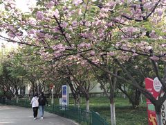-西安市长乐公园