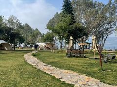 -顺城金记卤鸡·清真