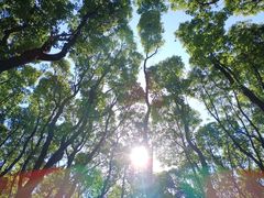 -同里国家湿地公园