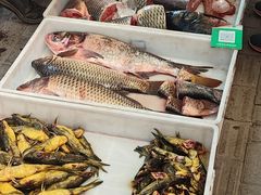 -通海俄式烧烤·俄罗斯大串(嵩山路店)