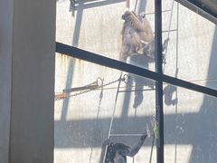 -昆明动物园