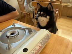 -柴の食堂·日式家庭料理·熊之肆(大学路店)