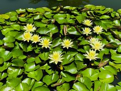 -国家植物园南园