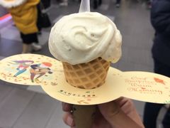 马拉加冰淇淋很浓郁-野人先生现做冰淇淋(西安赛格店)
