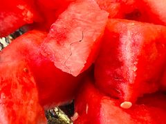 -丽晶酒店-金宝99 Restaurant