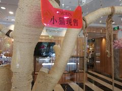 -袖虎·猫馆(体育西路店)