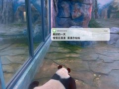 -苏州太湖国家湿地公园