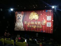 -百美汇影城(LUXE嘉里中心店)