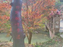 -田野绿世界