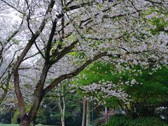 -中国茶叶博物馆(双峰馆区)