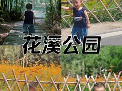 -贵阳市花溪国家城市湿地公园