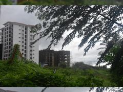 -三亚新鸿港水果一级批发市场