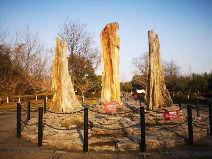 金钉子远古世界景区