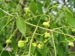 -长春公园(普阳街道)