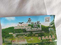 -西双版纳原始森林公园