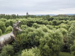 -嘉荫恐龙国家地质公园