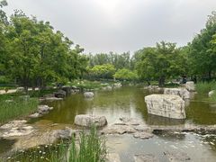 -大望京公园